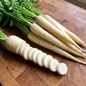 Lunar White, Carrot Seeds